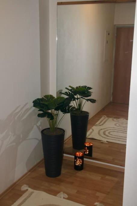 Jasmine Apartment - Free Parking - City Center - Skibus - Tatralandia 5Km Liptovsky Mikulas Luaran gambar